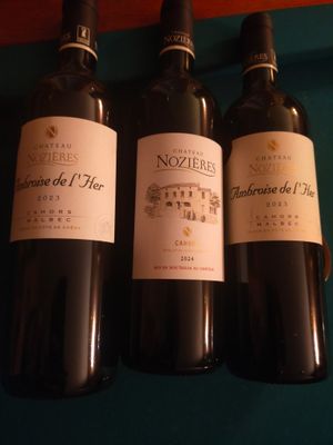trois bouteilles de vin posées sur une table l'une à côté de l'autre