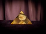 a close up of a glass pyramid with dandelions in it
