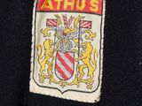 an image of a close up of a coat of arms with a coat of arms on it