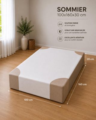 1 sommier de 100x160x30cm