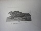 Photo 35/37 du lot