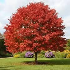 Destockage & Invendus