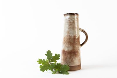 un vase marron contenant une plante, posé sur une surface blanche