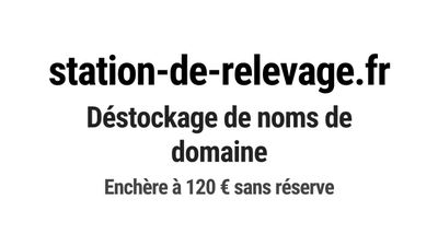Nom de domaine station-de-relevage.
