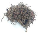 a pile of worms that are on a white surface