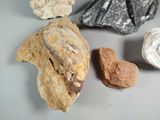 several different types of rocks on the table