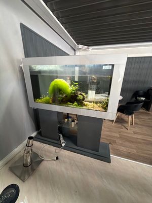 un aquarium posé sur un meuble dans un coin de la pièce