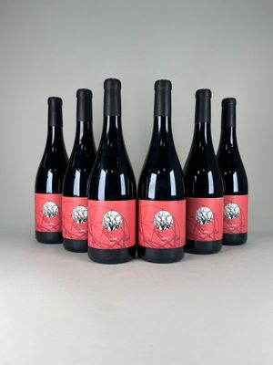 six bottles of red wine are lined up in a row