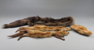 Une toque et trois cols en diverses fourrures.