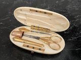a case with a pair of scissors and a pair of scissors in it