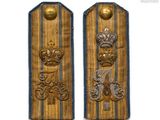 paire d'insignes militaires avec des bandes dorées et bleues sur fond blanc