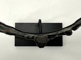 a sculpture of a bird that is on the wall
