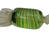 a green and white striped candy wrapped in plastic