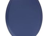 a close up of a blue toilet seat on a white background