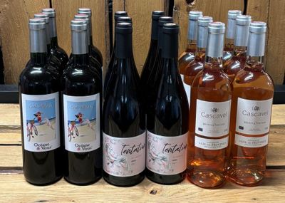 18 bouteilles de vin rosé et rouge, comprenant :