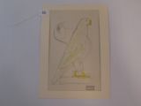 a picture of a drawing of a bird on the wall