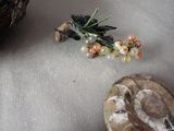a small plant that is sitting on a table next to a rock
