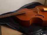 a violin that is sitting on top of a suitcase