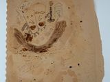 a piece of paper with a drawing of a man on it