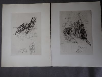 deux dessins en noir et blanc représentant un chat et un oiseau sur un lit