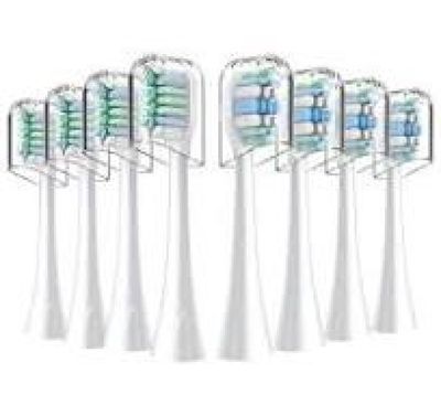 six brosses à dents alignées sur un fond blanc