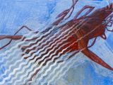 une peinture représentant un calmar flottant dans l'eau