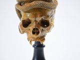 une image représentant un crâne surmonté d'un serpent