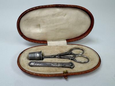 a pair of scissors in a case on a table
