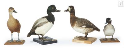 three ducks standing on wooden blocks on a white surface