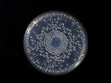 a glass plate with a circular design on it