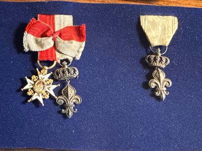 two medals are displayed on a blue cloth on a table