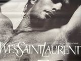 Photo 2/10 du lot
