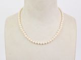 gros plan d'un torse de mannequin portant un collier