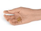 a person holding a small gold object in their hand