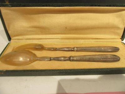 two spoons and a spoon spoon in a case
