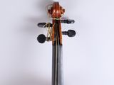 a close up of a violin on a white background