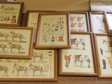 many framed pictures of horses and people on a table