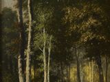 a painting of a wooded landscape with trees and grass