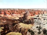 une photo du Grand Canyon vue du sommet d'une colline