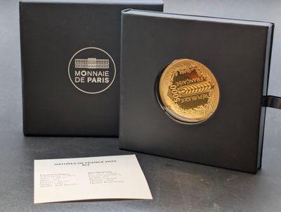 a black box with a gold coin inside of it on a table