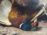 a painting of a pheasant and a book on the ground