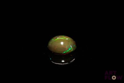 l'image d'un oplite dans l'obscurité
