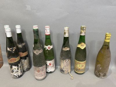 plusieurs bouteilles de vin sont alignées sur une table