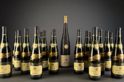 bottles of champagne lined up in a row on a table