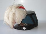 a hat with a feather on top of it on a table