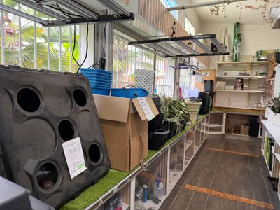 a room filled with lots of different types of speakers