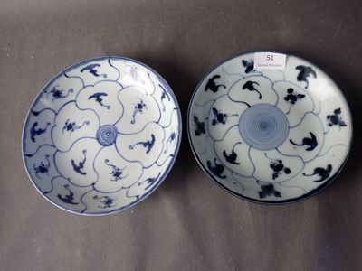 paire de bols en porcelaine bleue et blanche ornés de motifs floraux