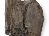 Photo 2/3 du lot
