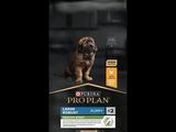 Prop Plan Chiot – Grandes races – Agneau et riz – 12 kg