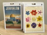 a picture of a picture of jerusalem and a picture of the dome of the rock with flowers on it